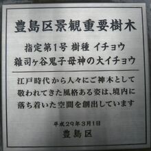 豊島区の景観重要樹木に第一号として指定されているとのことです