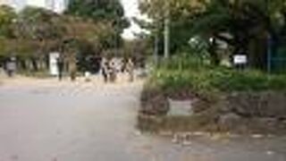 比較的規模の大きな墨田区立の公園