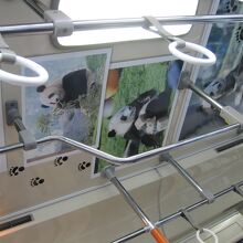 帰りはラッピングバスで車内もパンダ