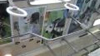 白浜駅からアドベンチャーワールドまで300円