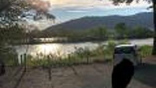 ただの松並木？