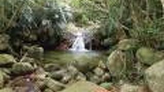 石垣島で唯一の滝