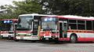  石垣空港と石垣港離島ターミナル間直通