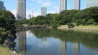 緑豊かな広々とした大名庭園です