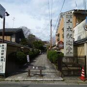 おかめ桜と言われる枝ぶりのいいしだれ桜