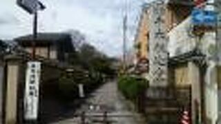 おかめ桜と言われる枝ぶりのいいしだれ桜