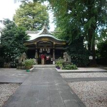 大鳥神社の本社殿と長い参道です。緑の樹々に囲まれています。