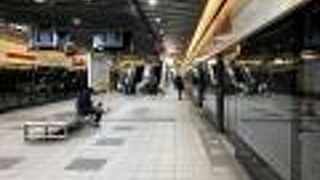 台北のみなさんの憩いの場、たくさんの緑