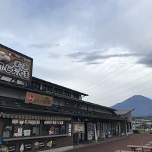 富士山もみえますよ！