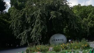 １日楽しめます