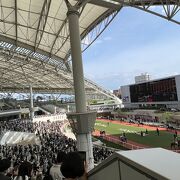 初めての阪神競馬場