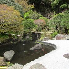 報国寺の庭園