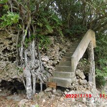 階段は付いてますが