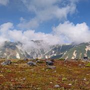 評判通りの絶景