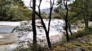 上高地梓川の中州