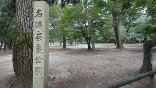 鹿がたくさんいる