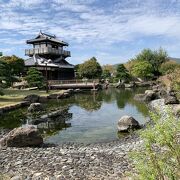 秋の景色に癒される公園でした。