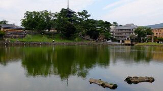興福寺の隣にある池