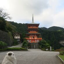 三重塔と那智の滝