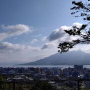 鹿児島のシンボル