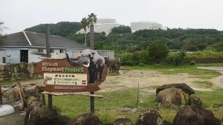 家族で一日動物三昧！