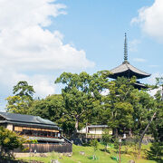 「興福寺五重塔」は国宝であり世界遺産です