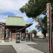 県天然記念物「妻田の楠」