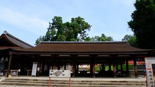 奈良公園の一番奥