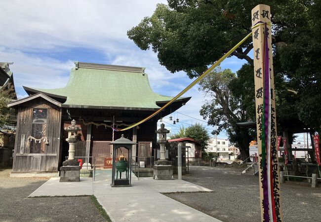 県天然記念物「妻田の楠」