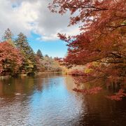 紅葉の雲場池