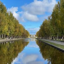 カナルとポプラ並木