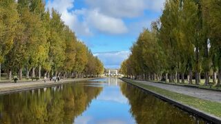 カナルに映るポプラが綺麗