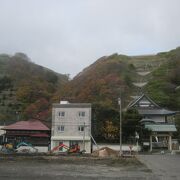 秋の量徳寺、裏山の紅葉が素晴らしいです