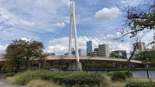 桜の季節は綺麗です