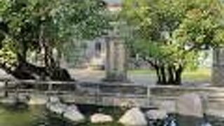 石碑の前では錦鯉の平和な光景