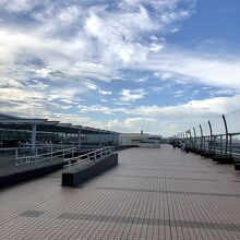 こっちも誰もいない