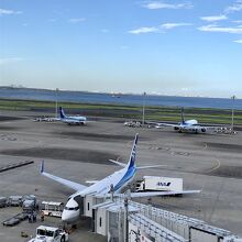 懐かしい気持ちになってきてます