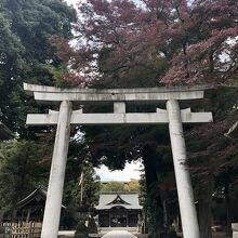 けっこう上手く撮れました