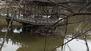 美しさは季節を選ぶ