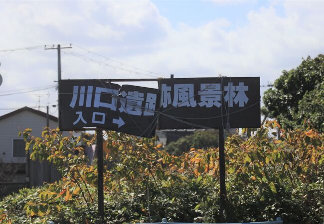 遺跡も