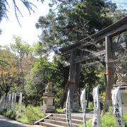 木の神・五十猛命・いたけるのみこと・を祀っています