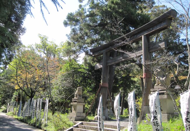 木の神・五十猛命・いたけるのみこと・を祀っています