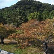 萩城の裏手にそびえる山