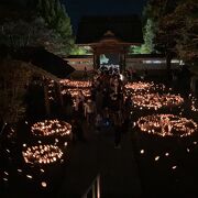 秋の夜、見事な龍口寺の竹灯籠