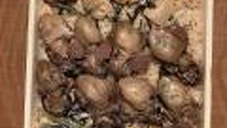 老舗、厚岸カキの駅弁