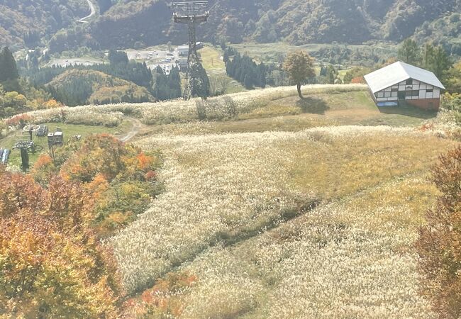 六日町八海山スキー場