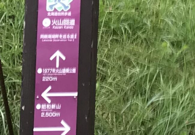 洞爺湖園地から山側