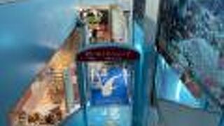 県庁前駅が近いです