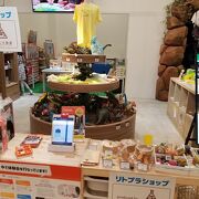 LittlePlanet x XFLAG (ダイバーシティ東京プラザ店)