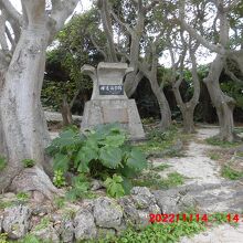 周囲は樹木に囲まれて